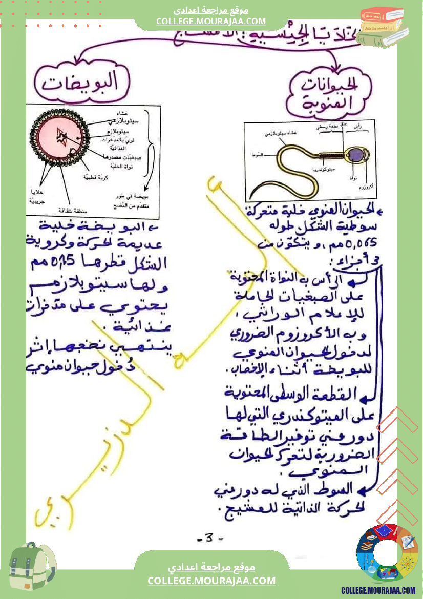 وثائق_في_مادة_علوم_الحياة_والأرض_للسنوات_التاسعة_نموذجي_(2)