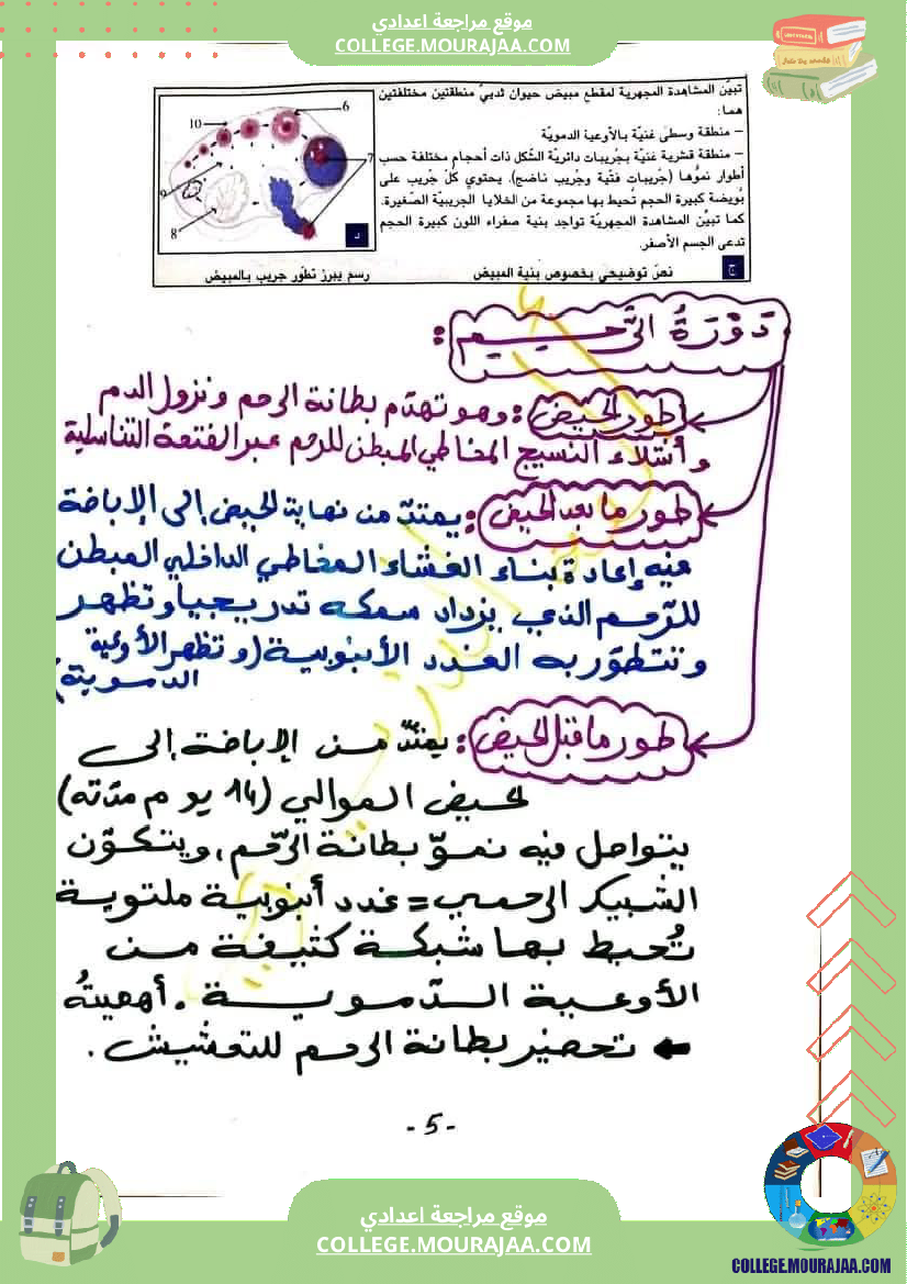 وثائق_في_مادة_علوم_الحياة_والأرض_للسنوات_التاسعة_نموذجي_(2)