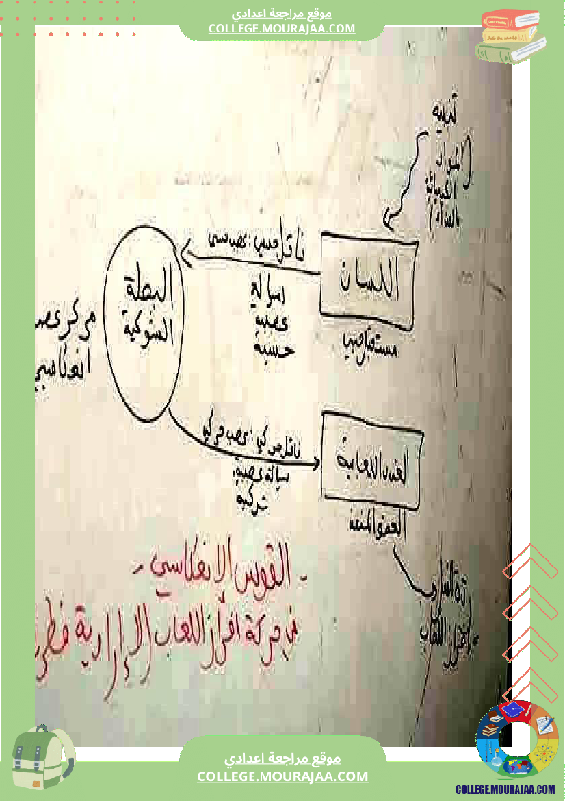 وثائق_في_مادة_علوم_الحياة_والأرض_للسنوات_التاسعة_نموذجي_(3)