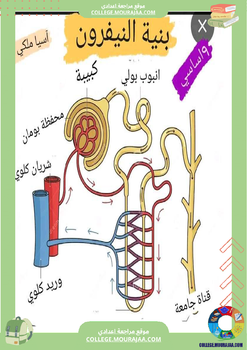 وظيفة الاخراج التاسعة أساسي علوم الحياة و الارض