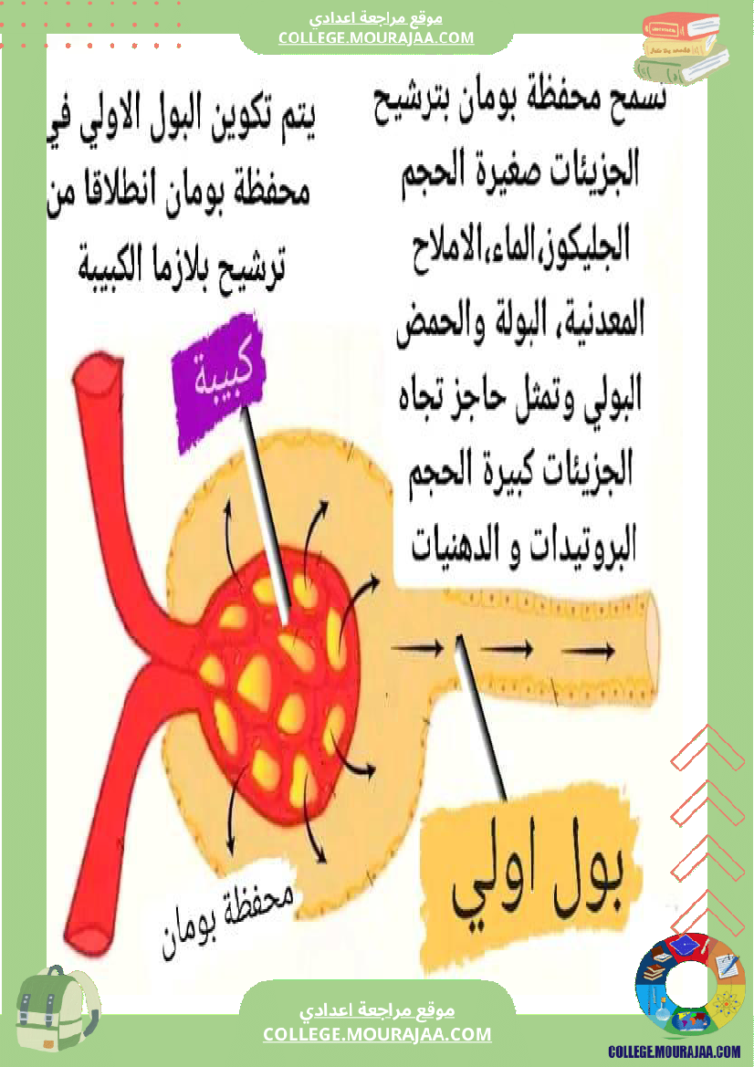 وظيفة_الاخراج__التاسعة_أساسي_علوم_الحياة_و_الارض