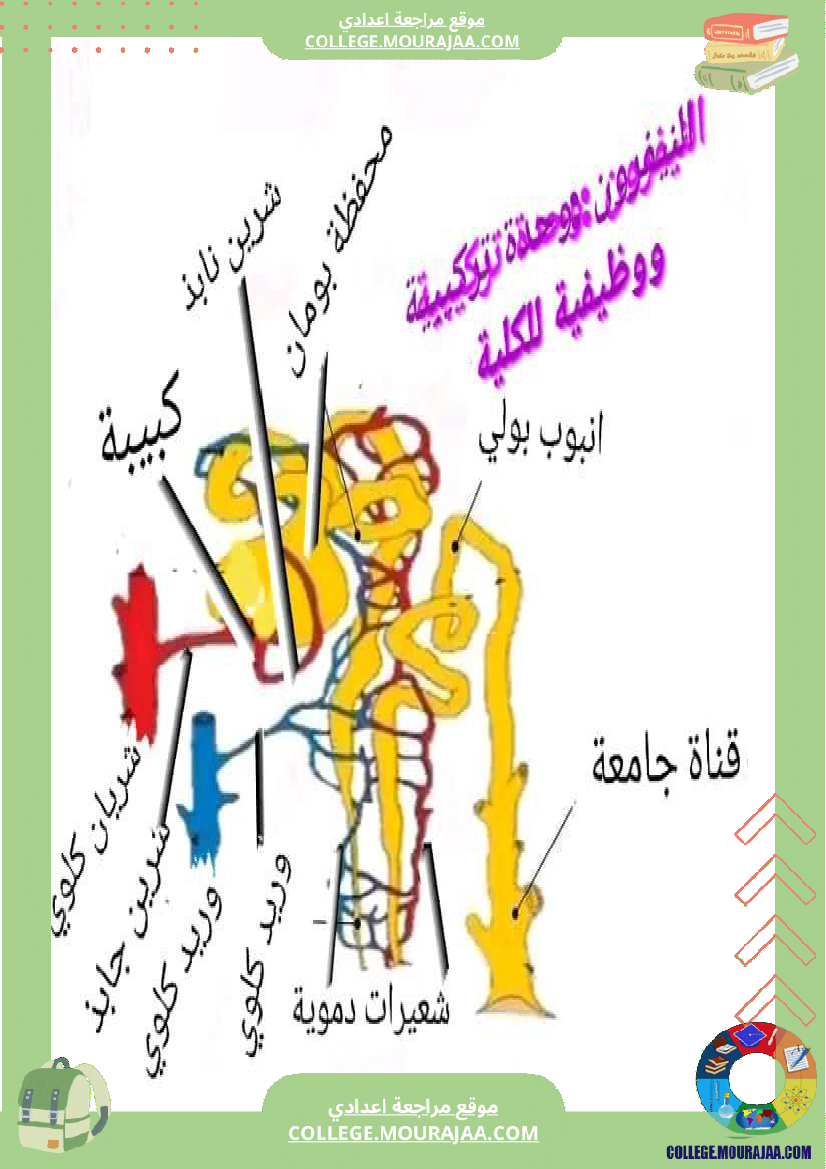 وظيفة_الاخراج__التاسعة_أساسي_علوم_الحياة_و_الارض
