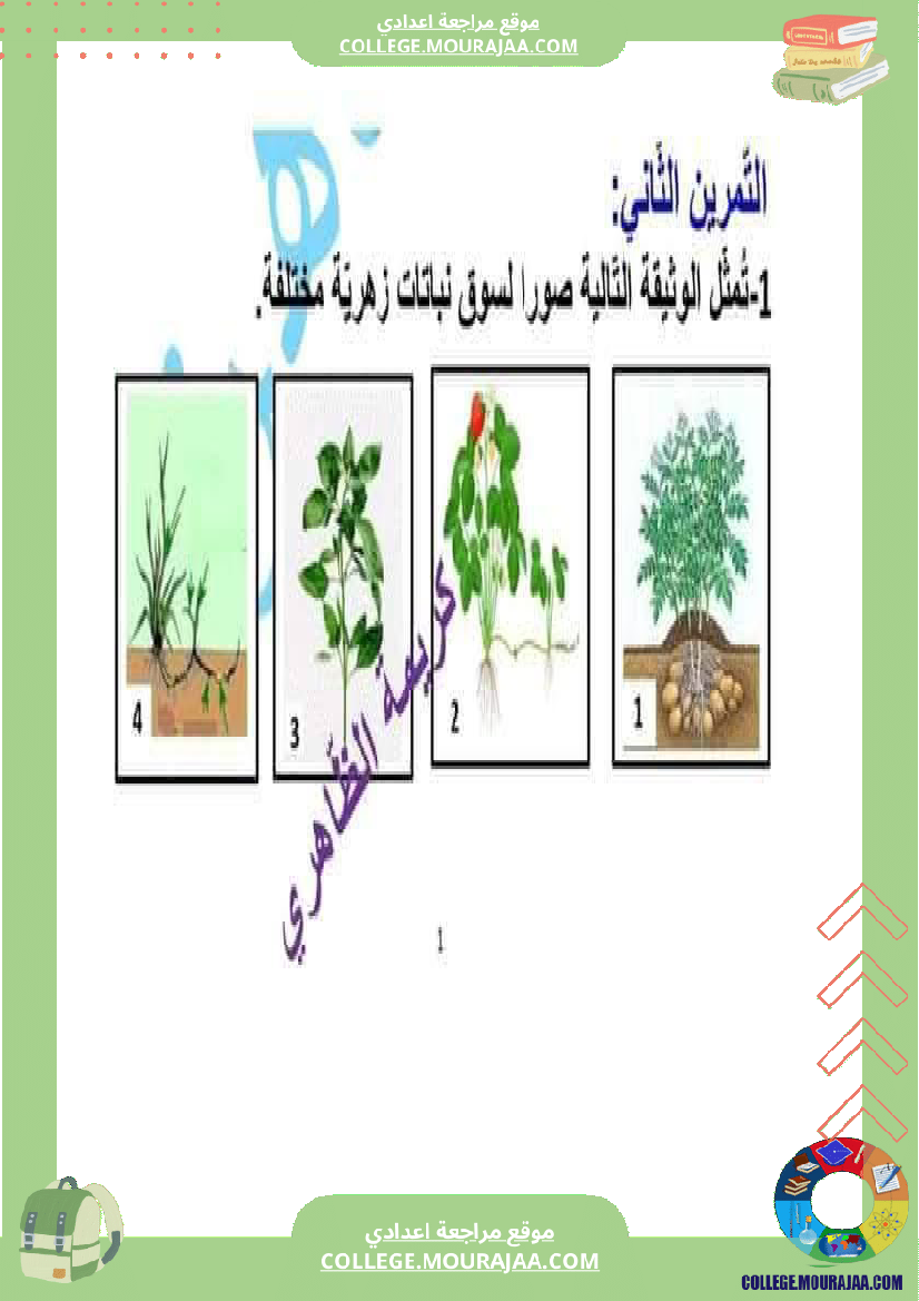فرض_تأليفي_السابعة_علوم_الحياة_و_الارض_الثلاثي_الثالث