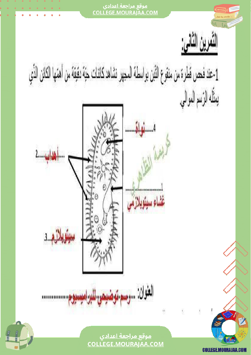 فرض_تأليفي_علوم_الحياة_و_الارض_السابعة_ثلاثي_ثالث