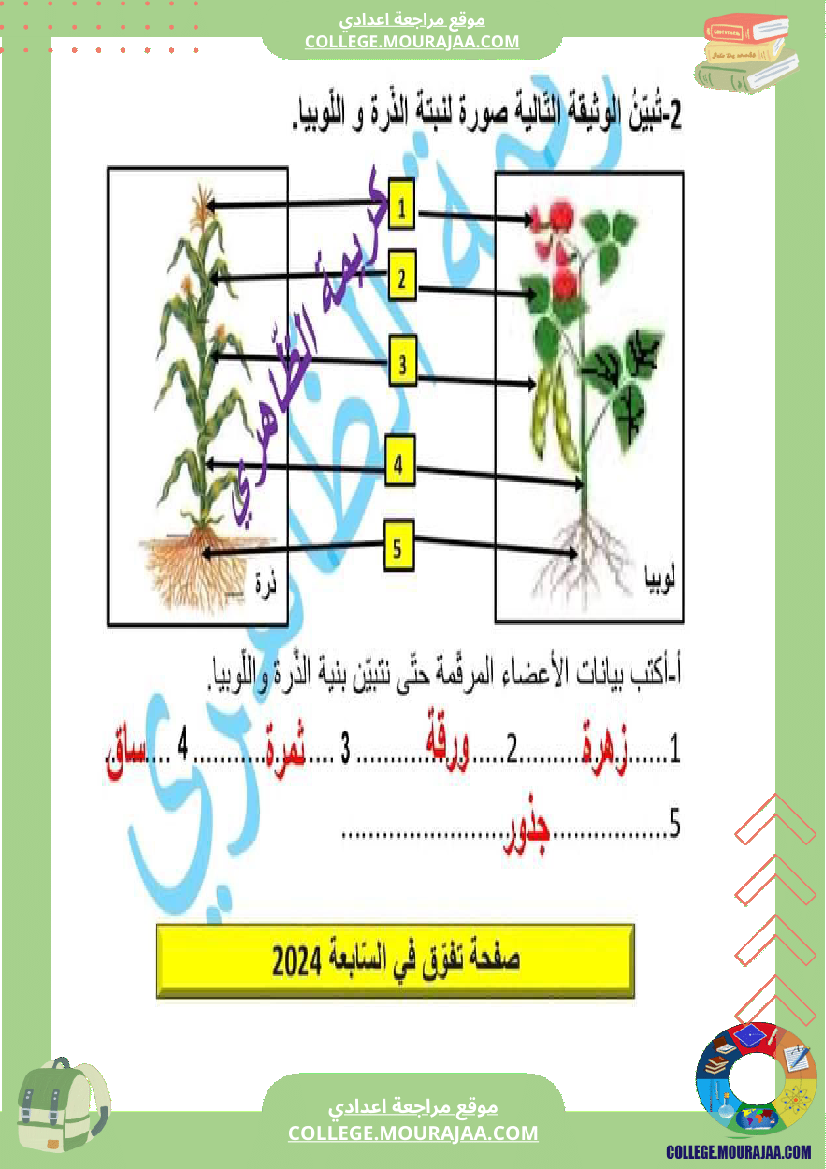فرض تأليفي علوم الحياة و الارض مستوى السابعة الثلاثي الثالث