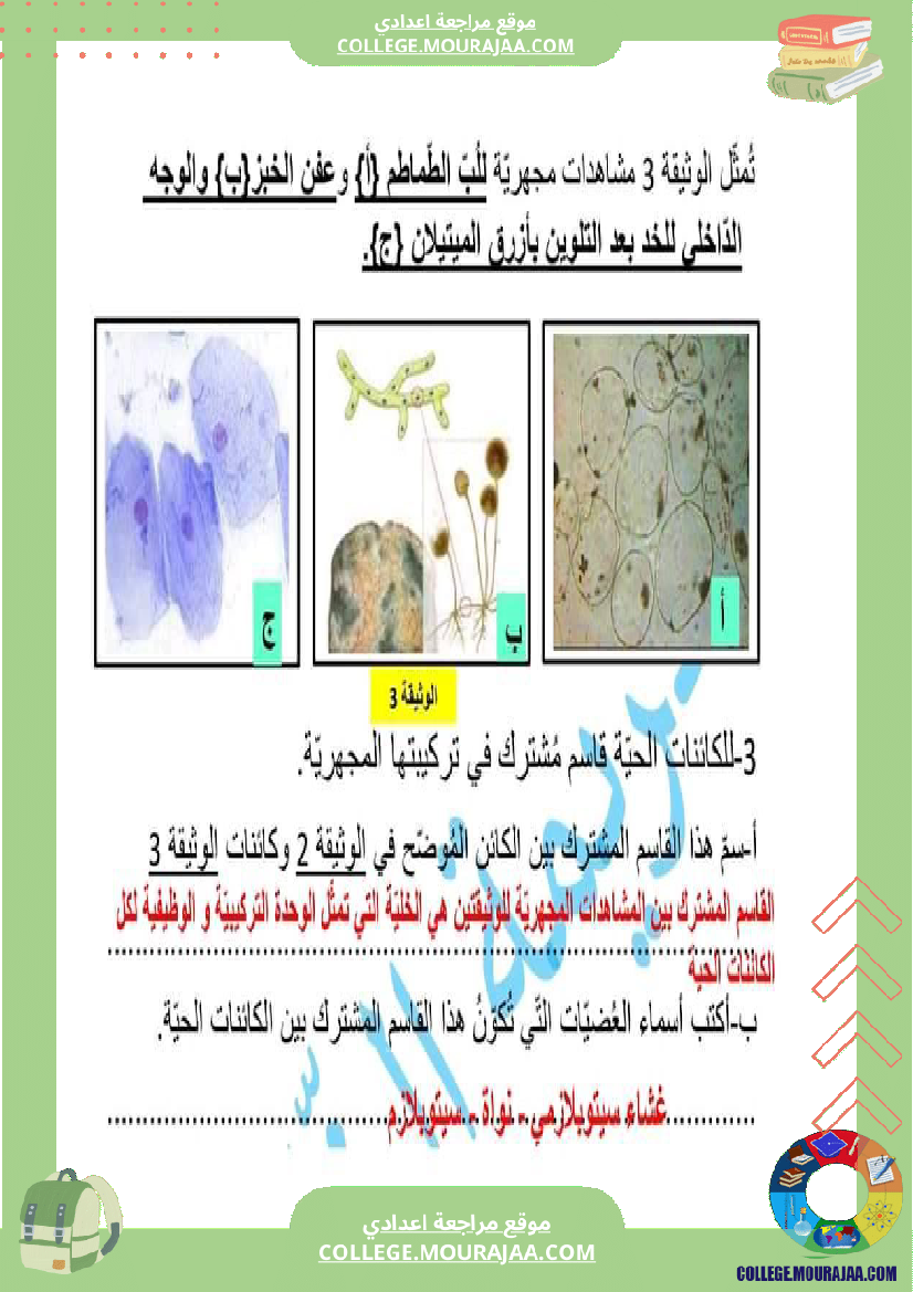 فرض تأليفي علوم الحياة و الارض مستوى السابعة الثلاثي الثالث