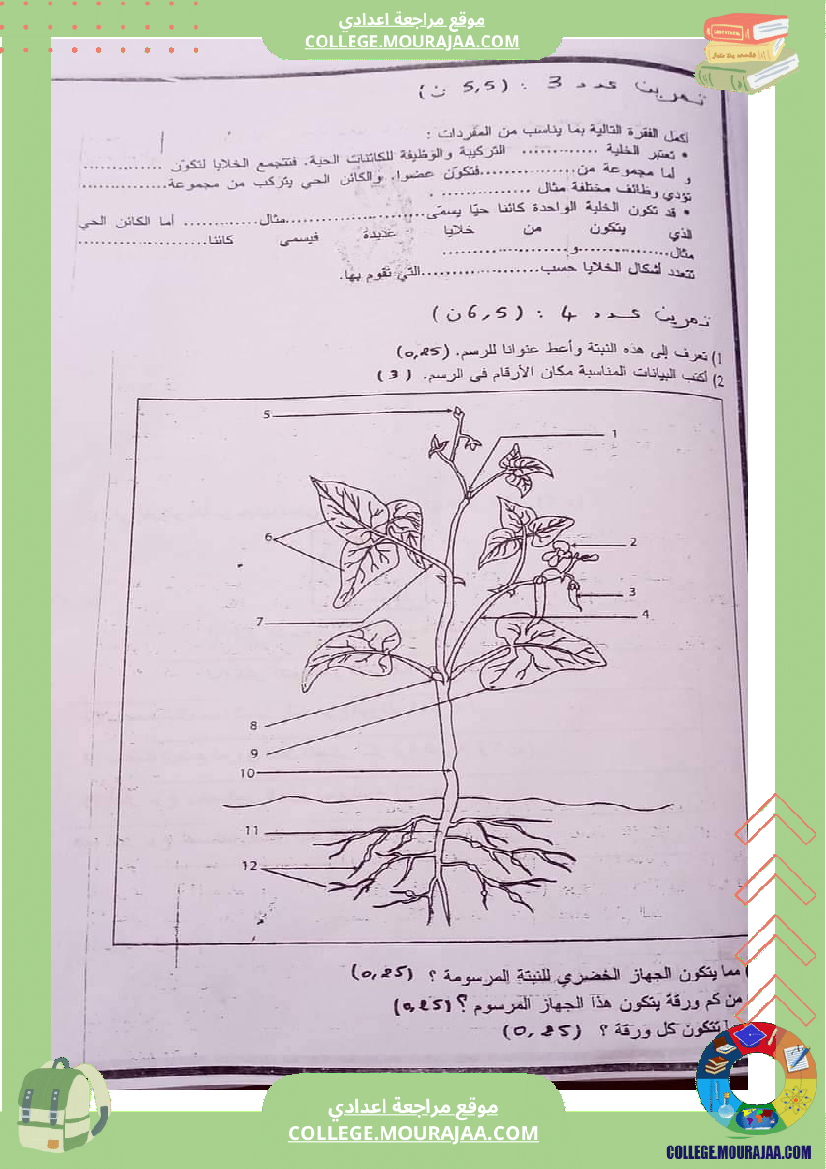 فرض تأليفي في علوم الحياة و الارض سنة السابعة ثلاثي ثالث