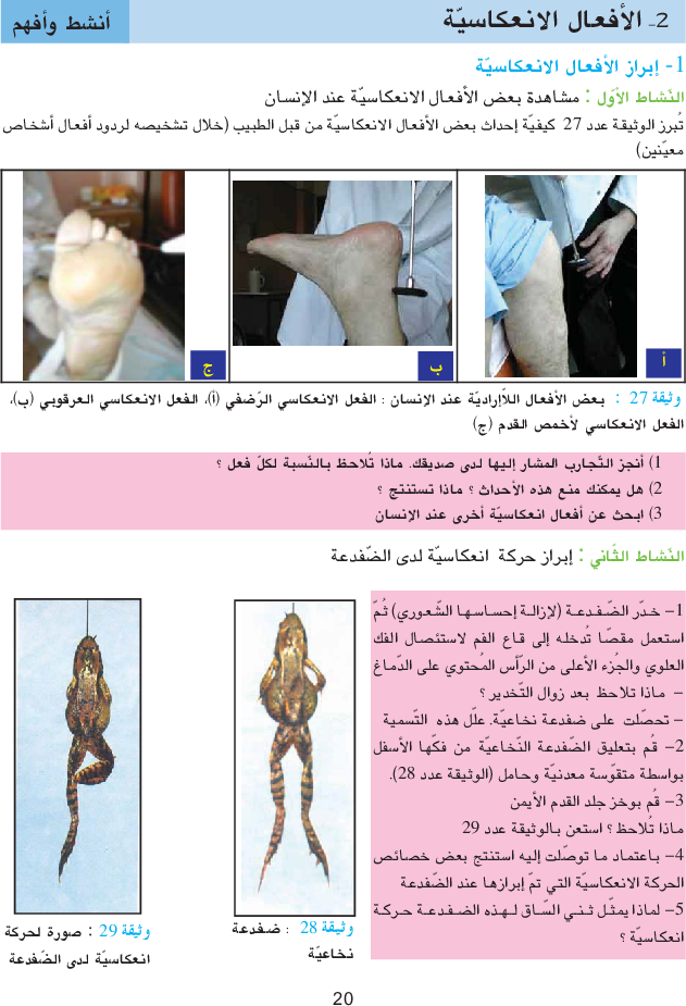 كتاب_علوم_الحياة_والأرض_السنة_التاسعة_من_التعليم_الأساسي