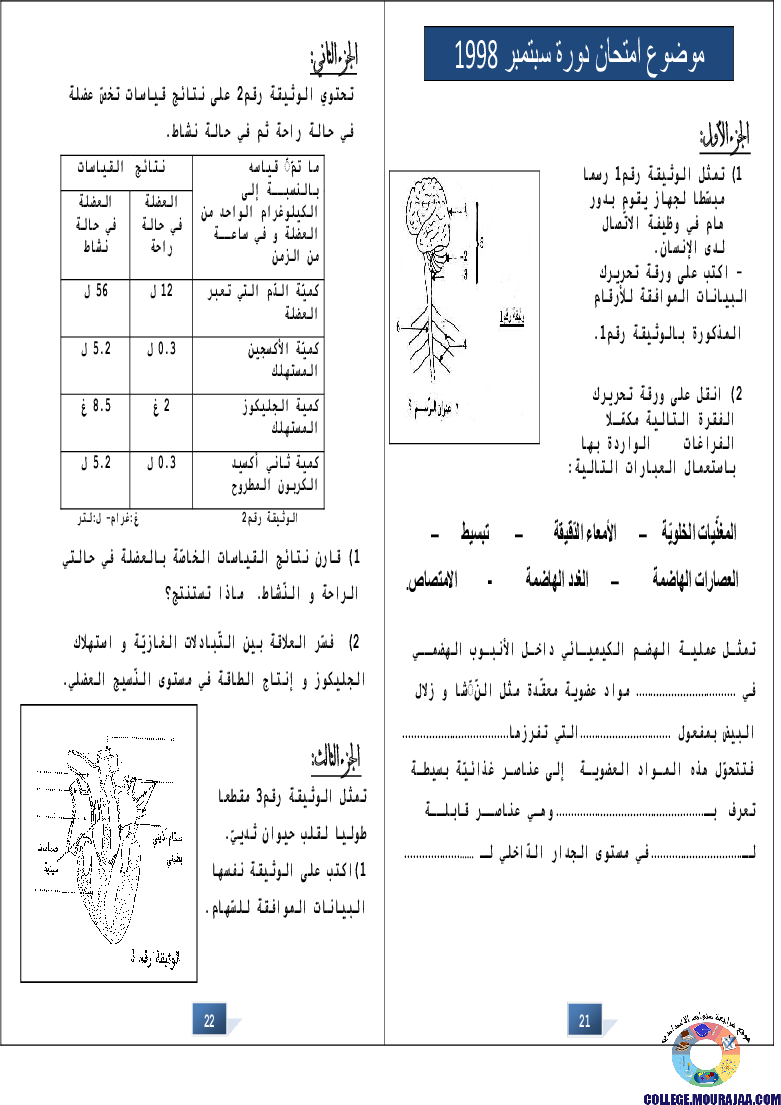 التالق في شهادة ختم التعلمي الاساسي علوم