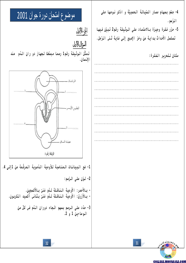 التالق في شهادة ختم التعلمي الاساسي علوم
