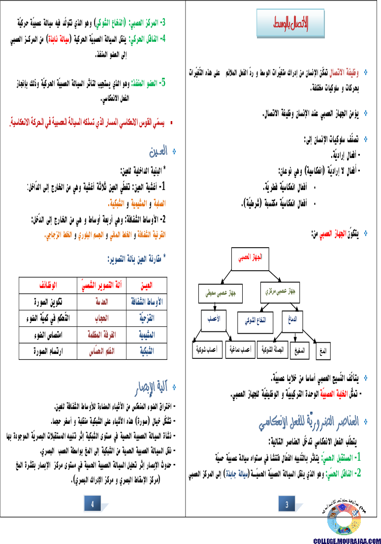 التالق في شهادة ختم التعلمي الاساسي علوم