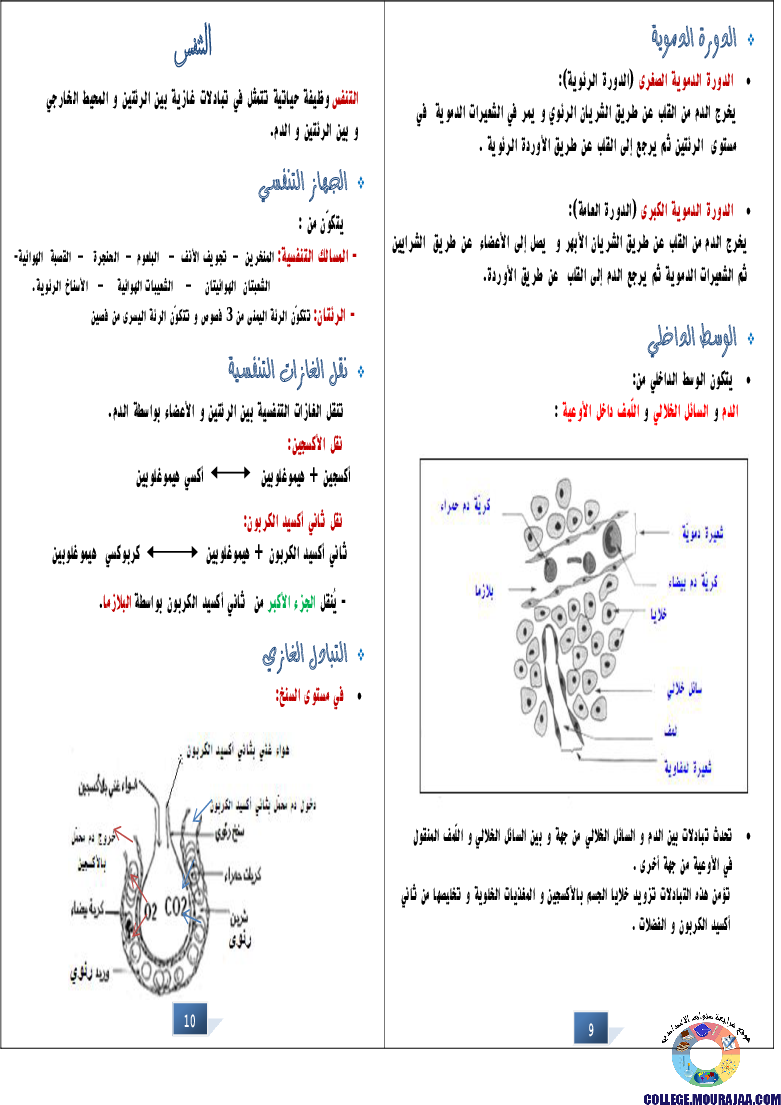 التالق في شهادة ختم التعلمي الاساسي علوم