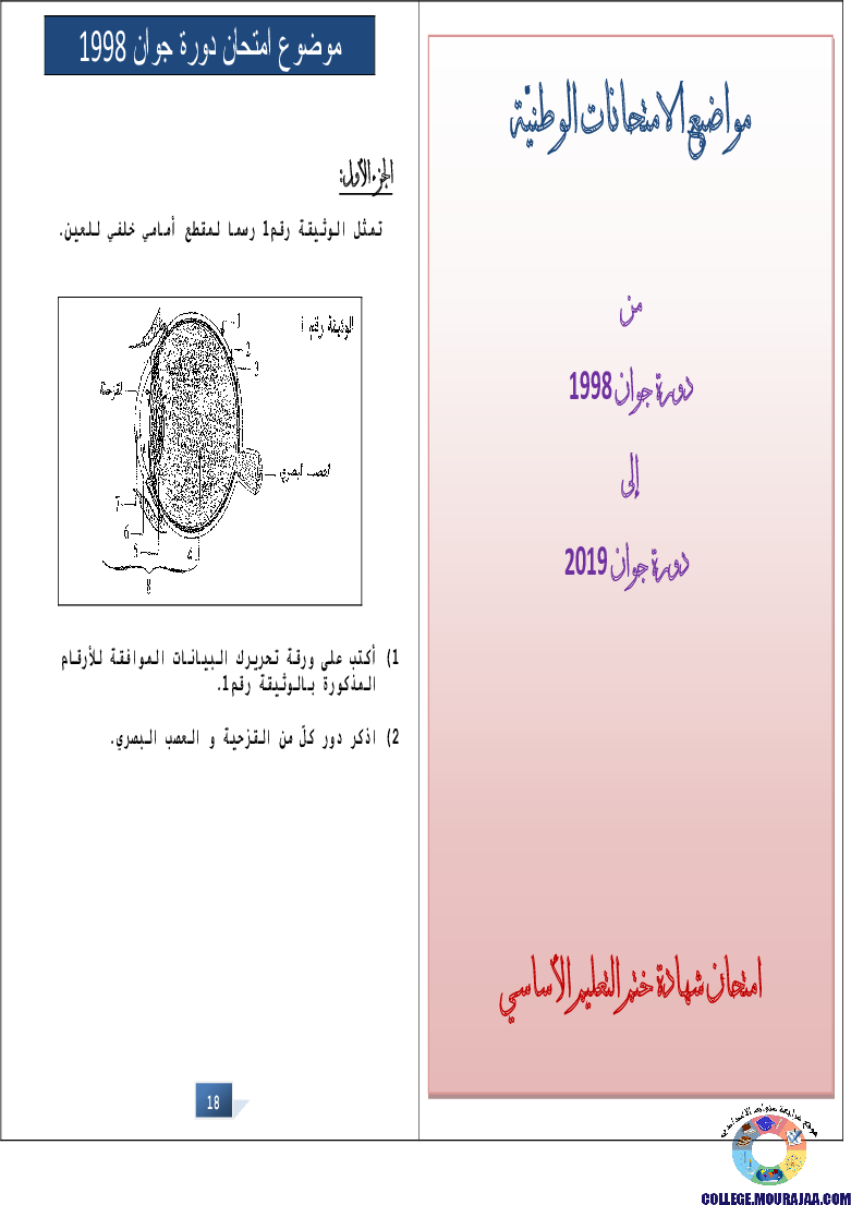 التالق في شهادة ختم التعلمي الاساسي علوم