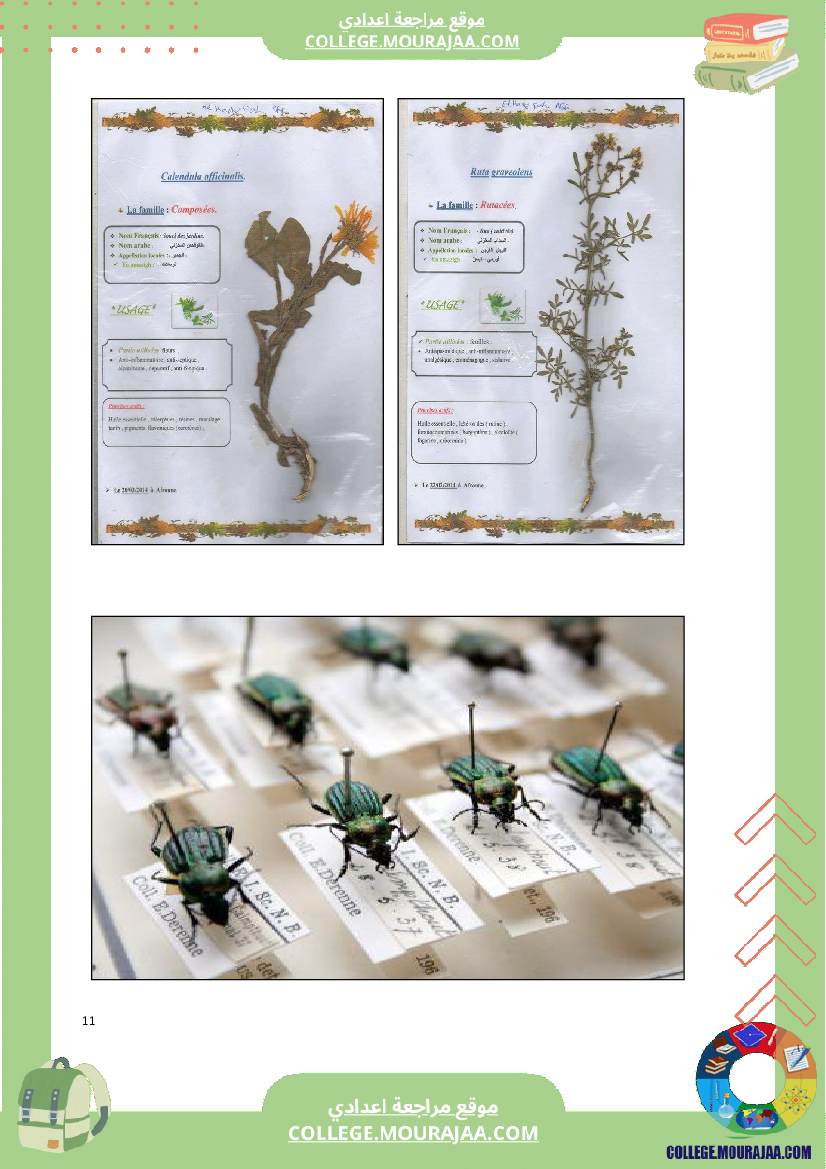 كراس علوم الحياة و الأرض سنة السابعة